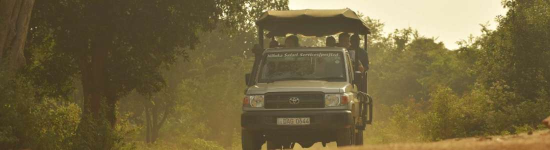 Niluka Safari Service cover image