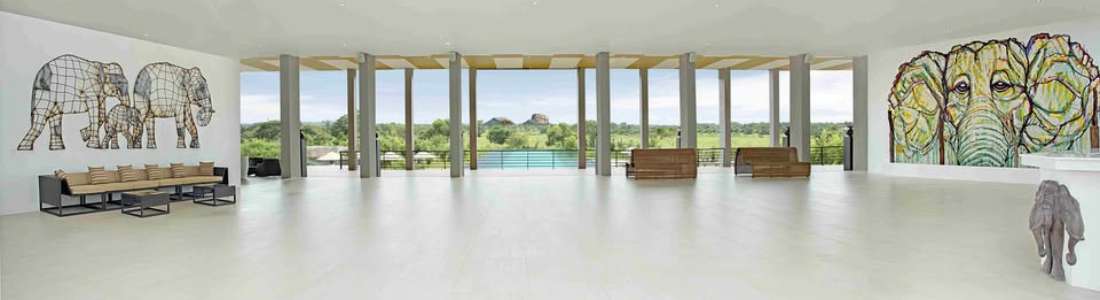 Aliya Resort & Spa cover image