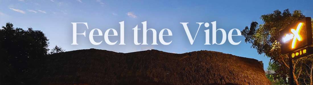 vibeX Udawalawa cover image