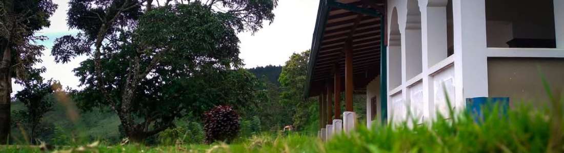 360 Mount Villa - Peacock Hill cover image