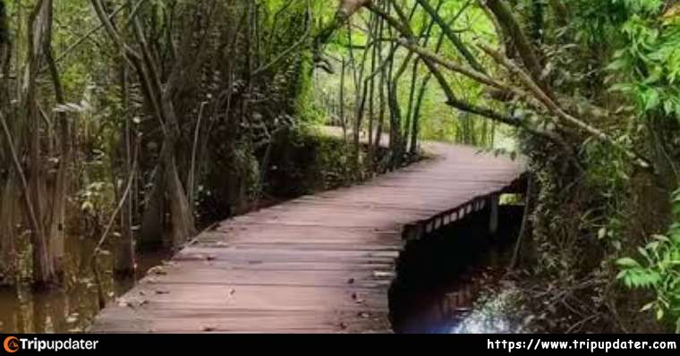 Beddagana Wetland Park