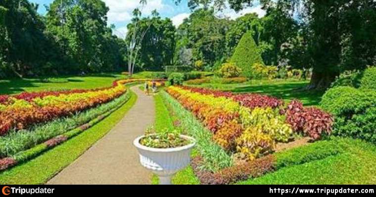 National Sandalwood Garden