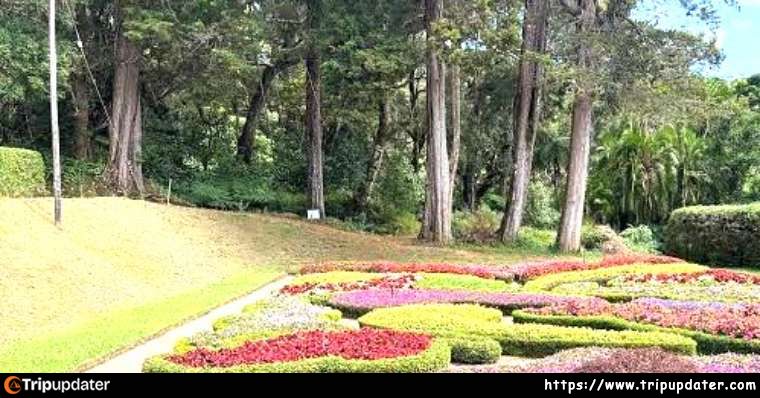 Hakgala Botanical Garden