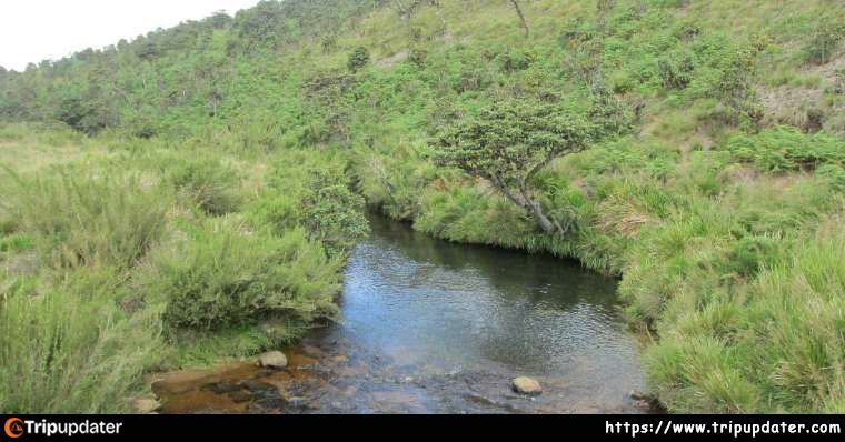 Horton Plains National Park