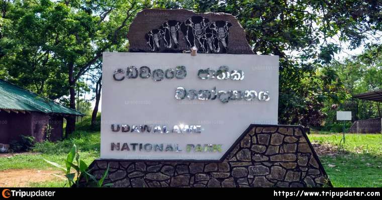 Udawalawe National Park