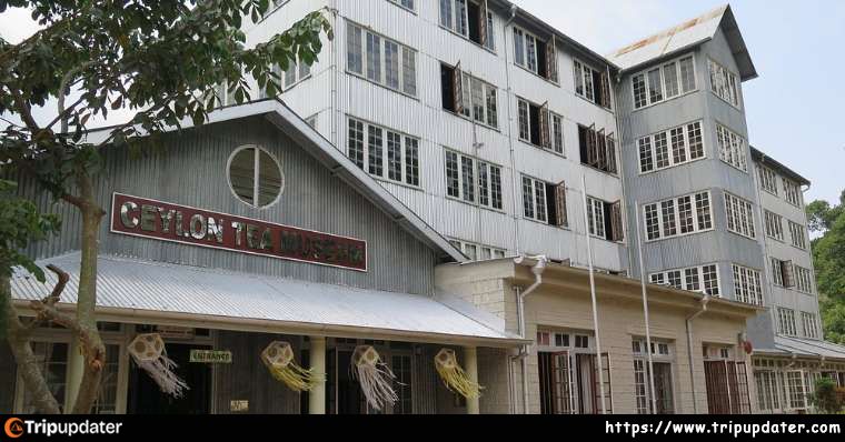 Ceylon Tea Museum