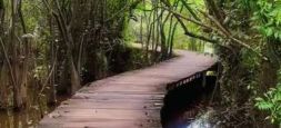 Beddagana Wetland Park