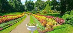 National Sandalwood Garden