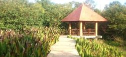 Diyasaru Park