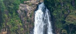 Devon Falls