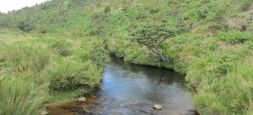 Horton Plains National Park