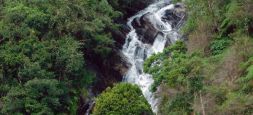 Aggra Falls (Agra Falls)