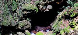 Waulpane Cave 